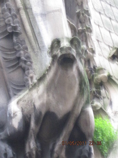 Gargoyle - Notre Dame de Paris