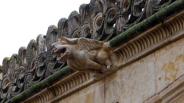 Gargoyle, Courtyard of the Casa de las Conchas (Salamanca Public Library), Salamanca, Spain. Photo by William Avery Hudson via flickr.