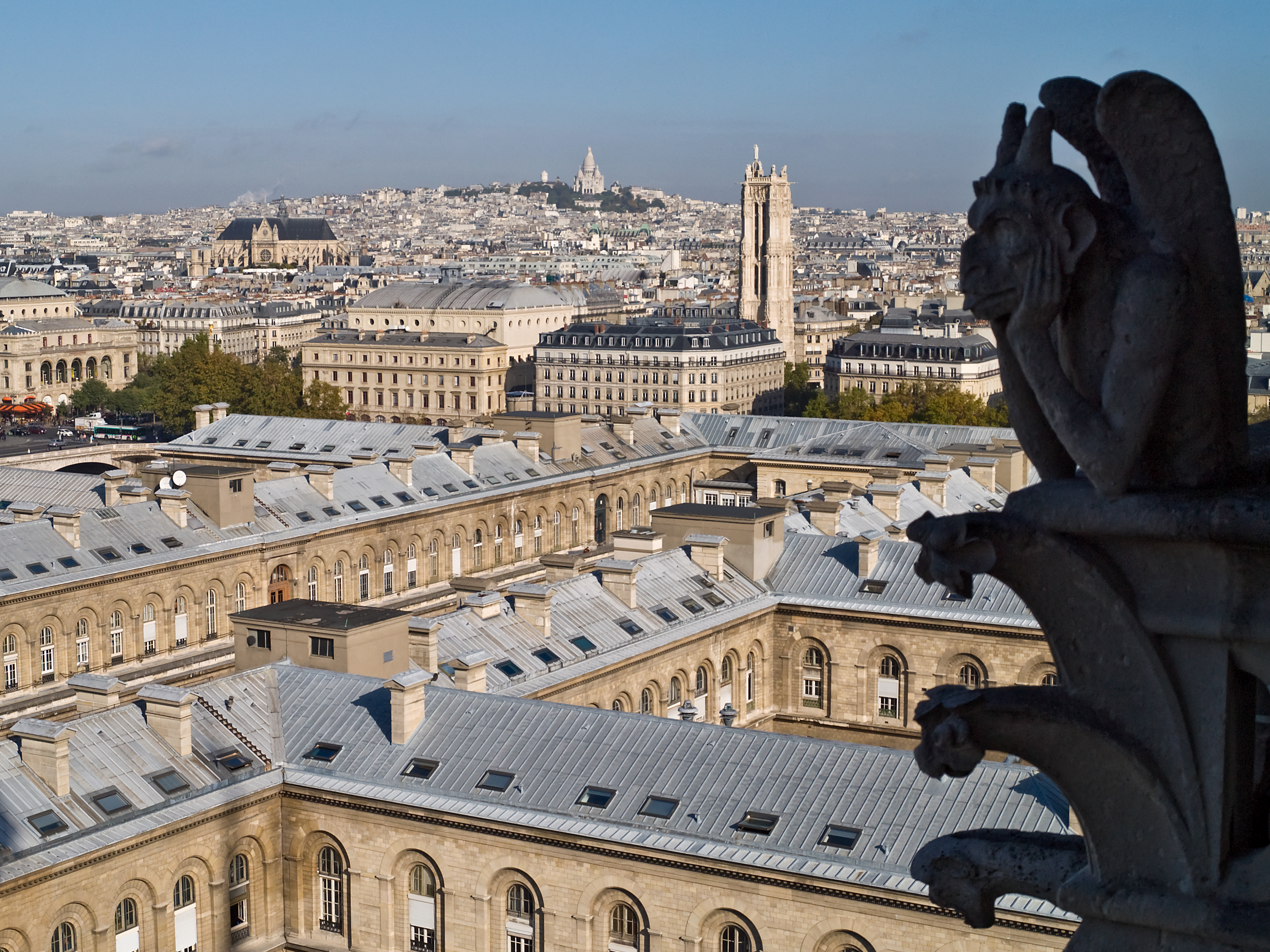 Vue de Paris depuis Notre-Dame