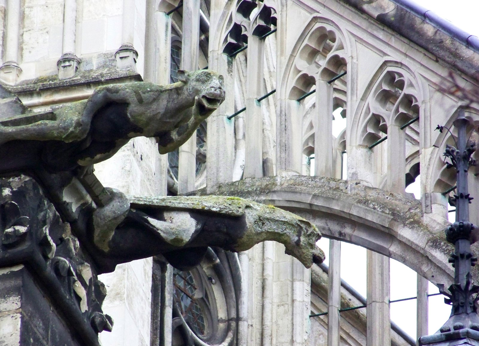 Amiens Cathedral