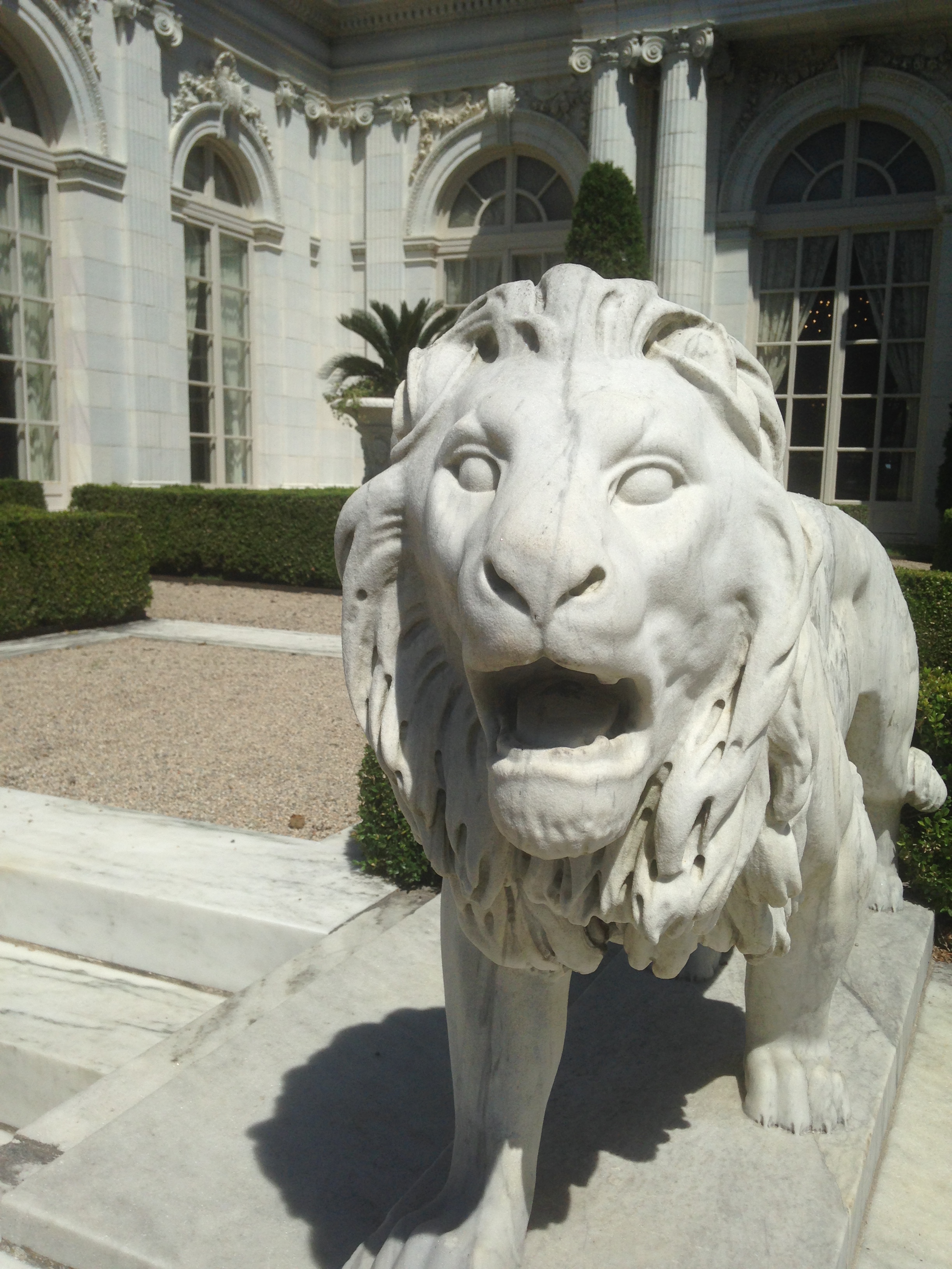 Rosecliff lion