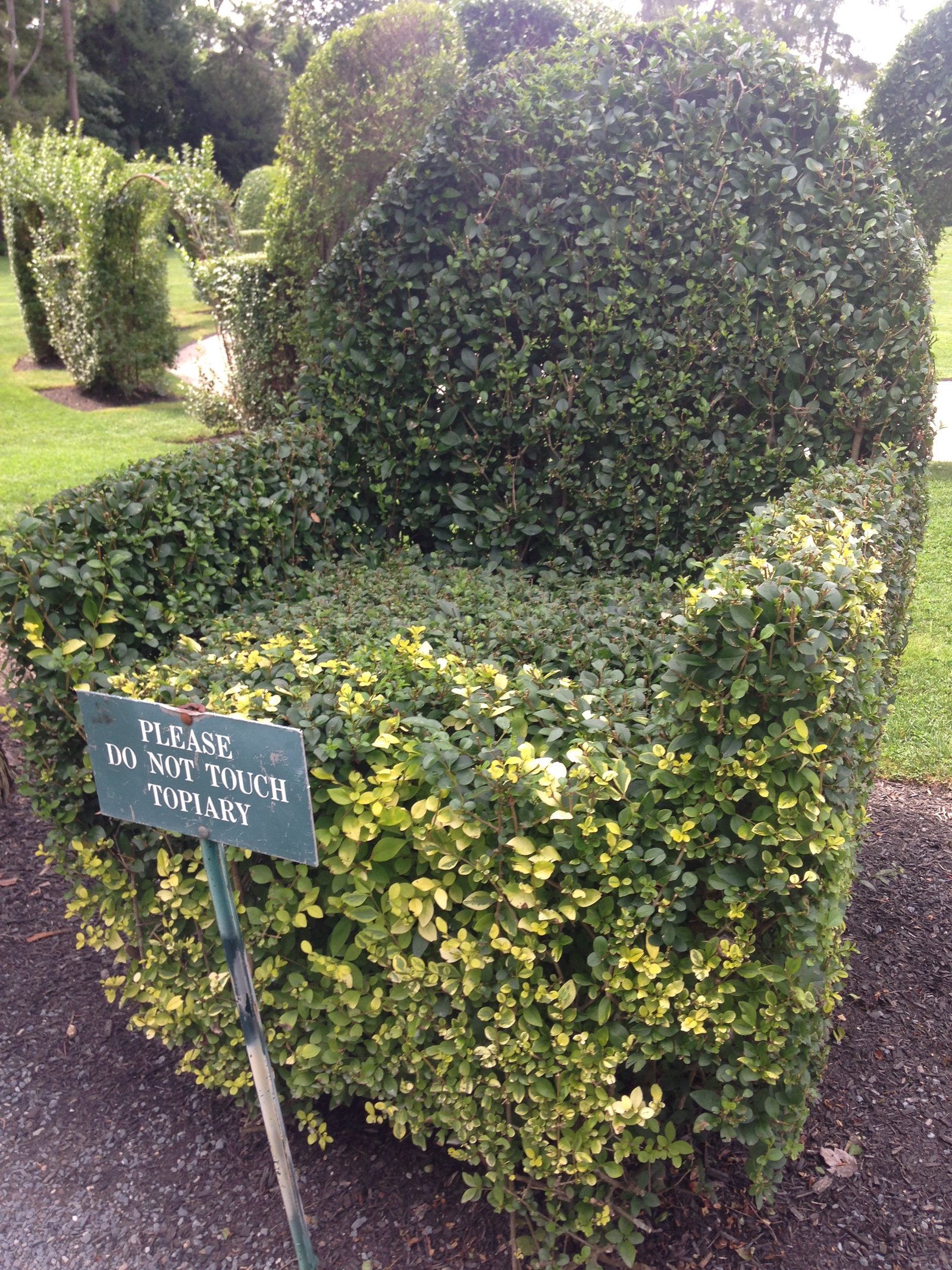 Topiary chair