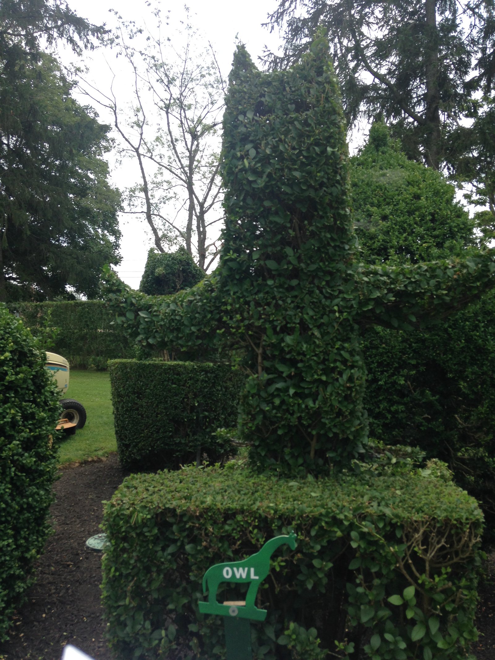 Owl topiary