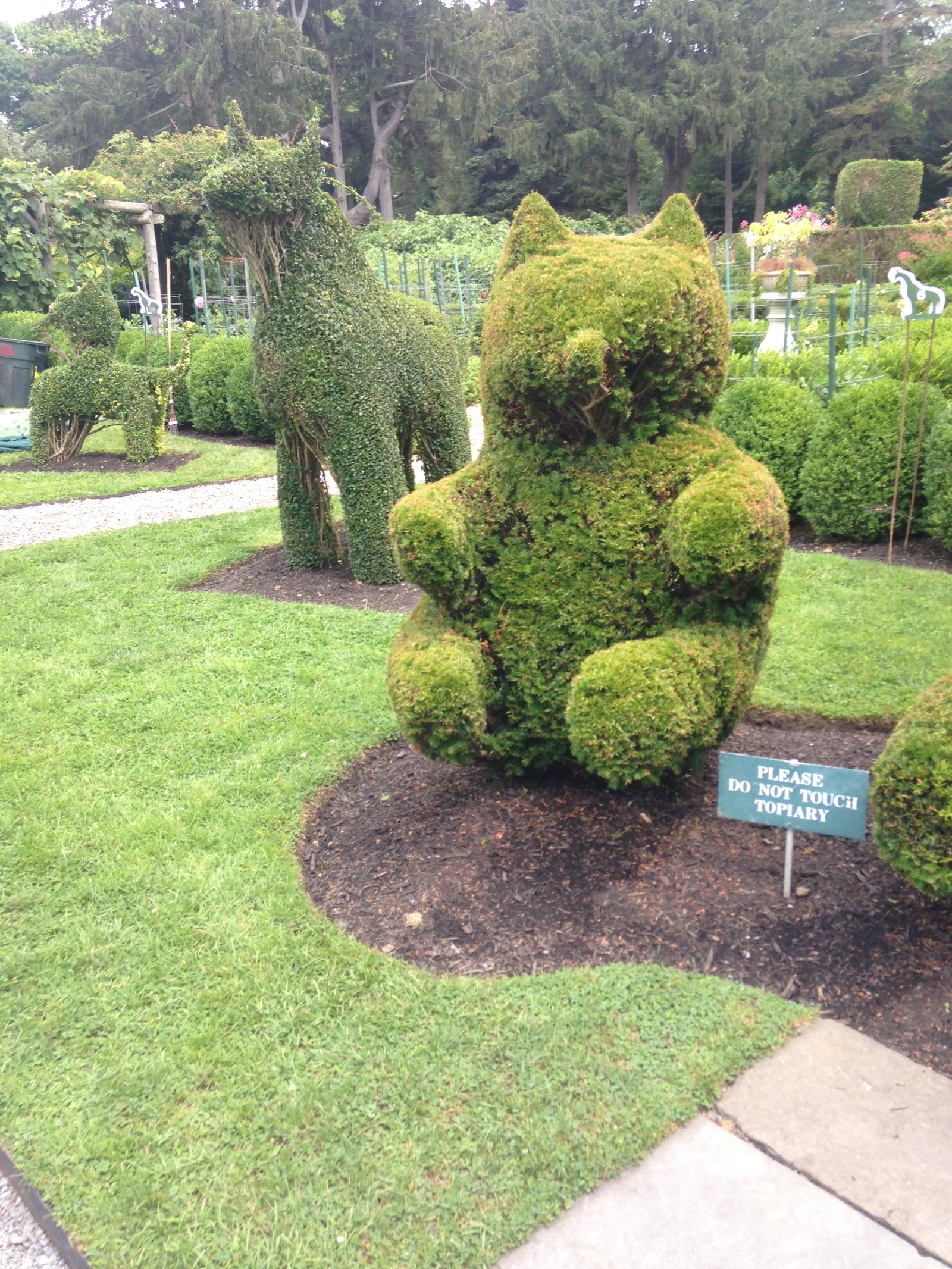 Teddy bear topiary