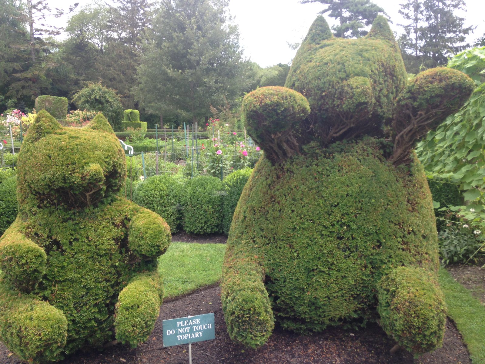 The Green Animals Topiary Garden (My Newport Adventures)