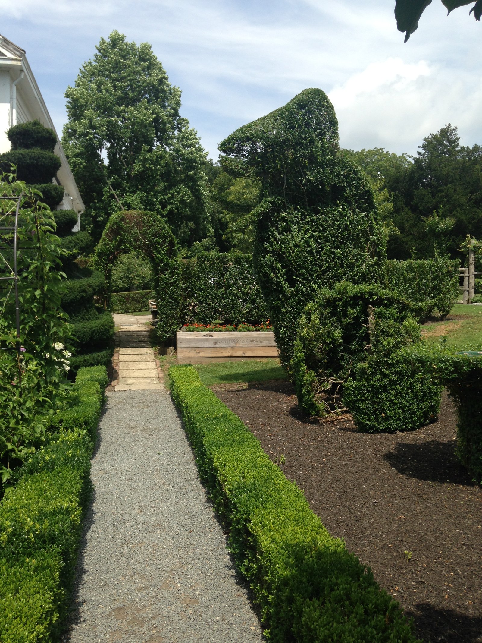 T-Rex topiary