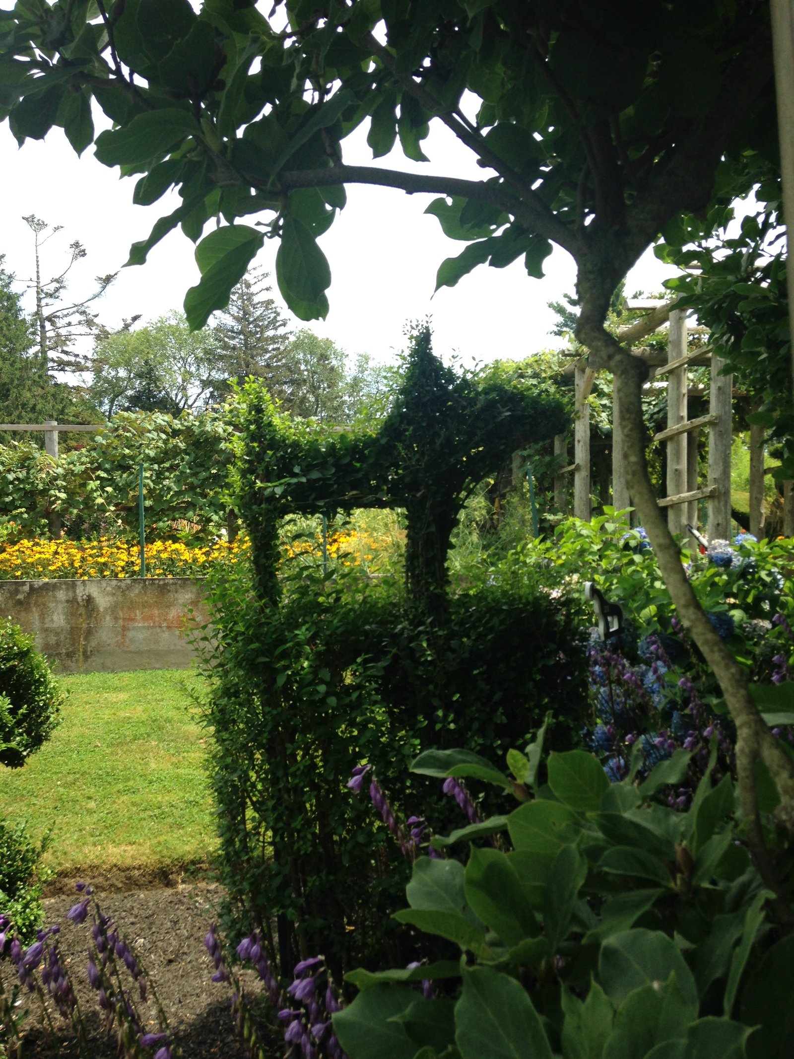 Green Animals topiary garden 2