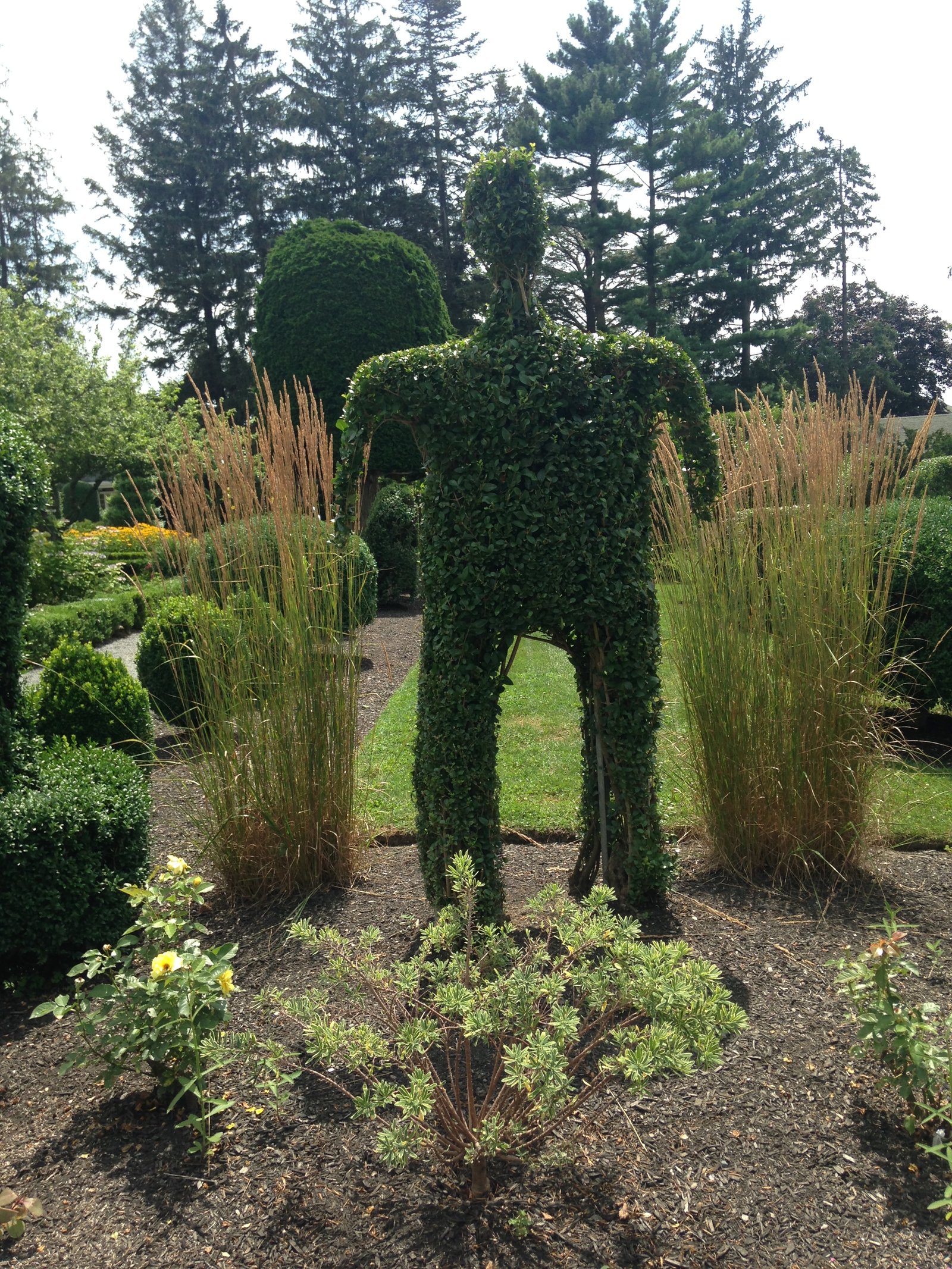 Policeman topiary