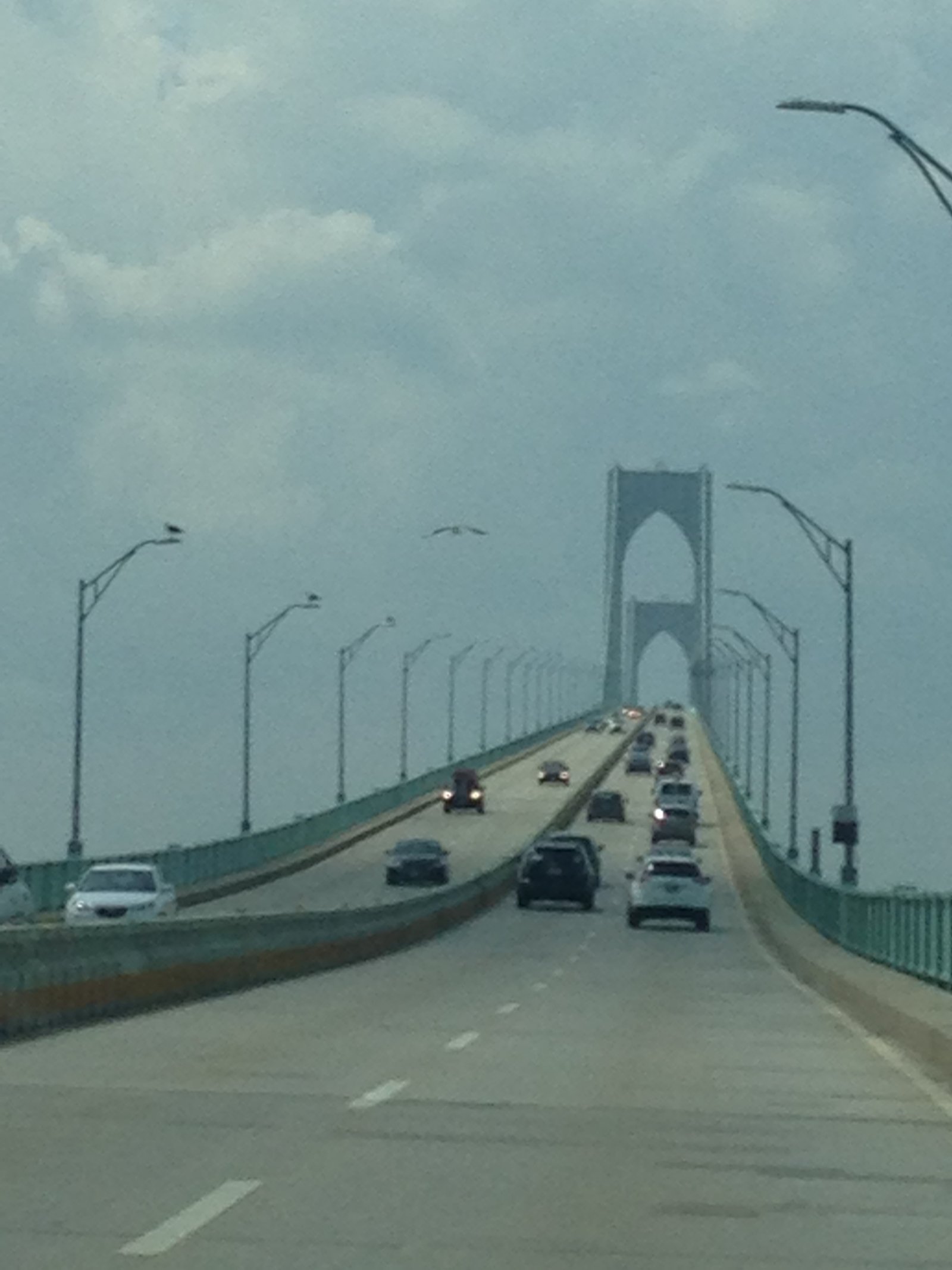 Claiborne Pell Bridge