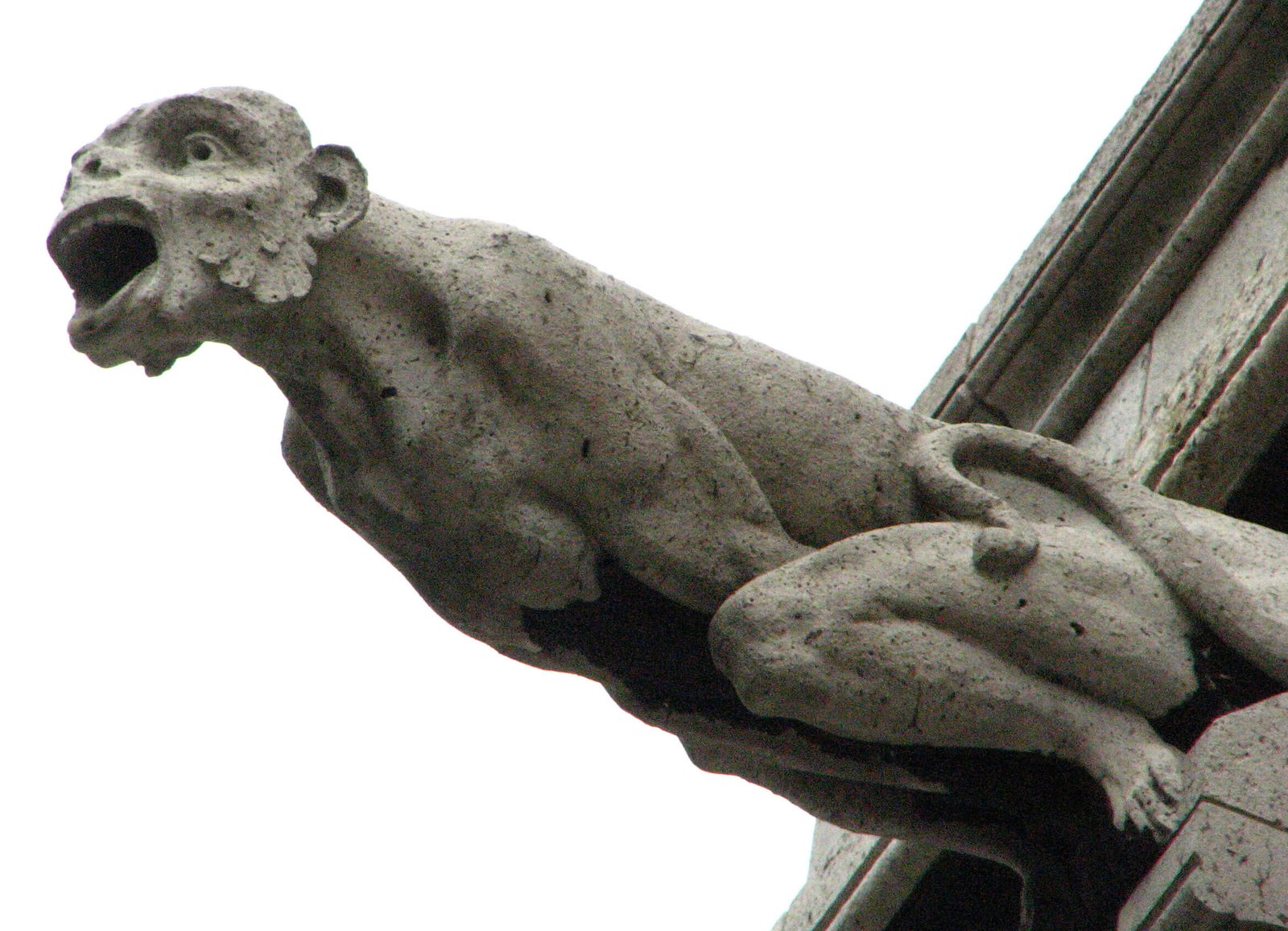 Sacre Coeur Gargoyle St. Bernard and Gargoyles