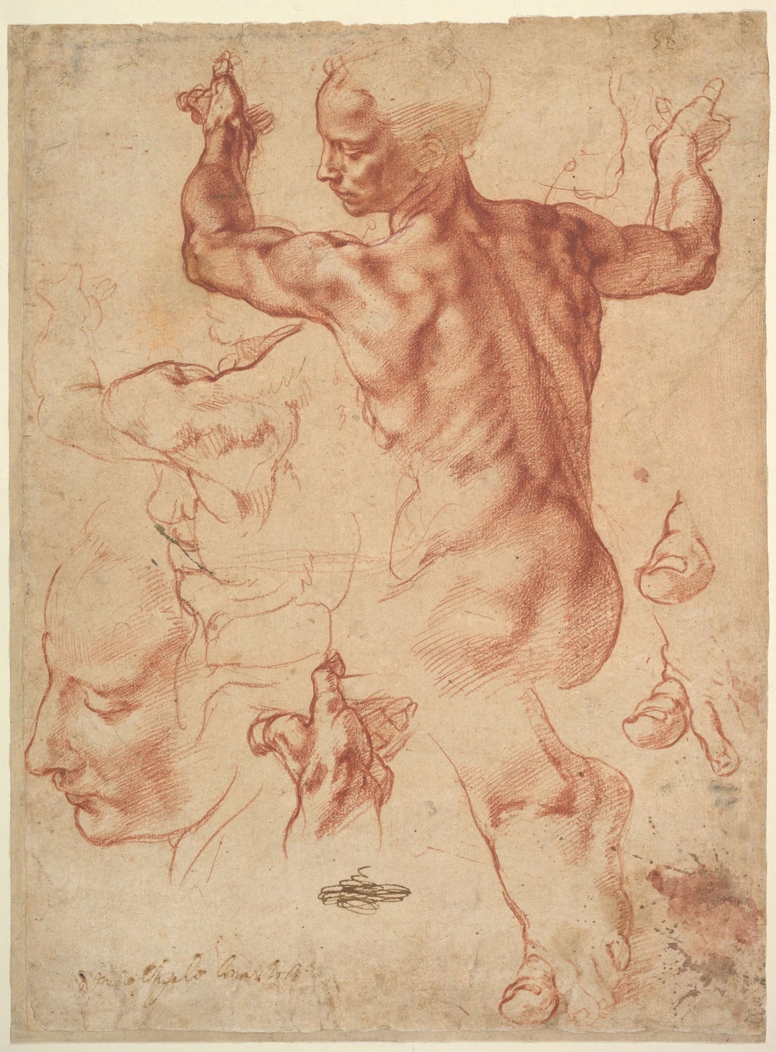 Michelangelo Didn’t Show His Work: A Fun Fact