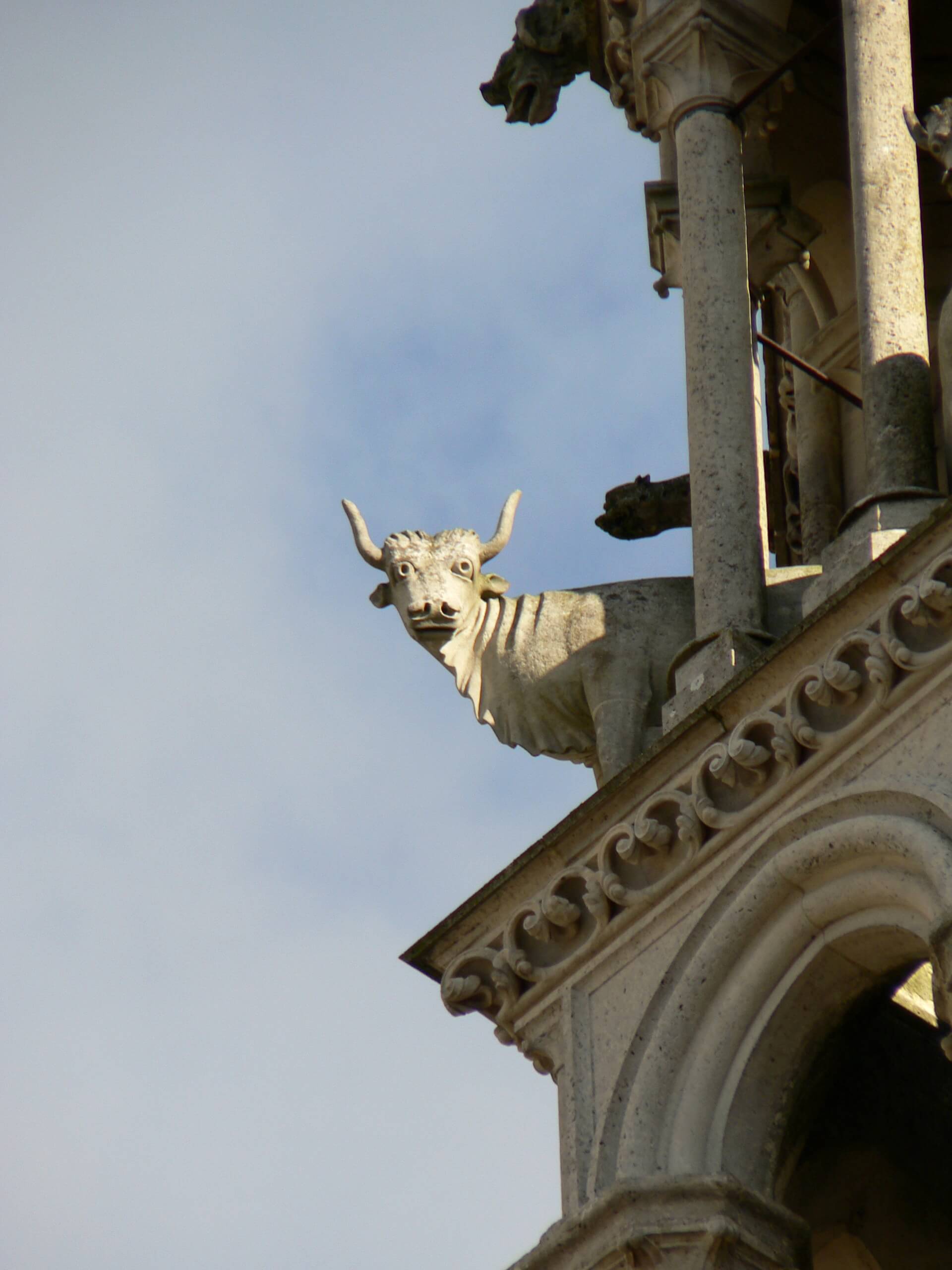 Laon Cathedral ox north side west tower