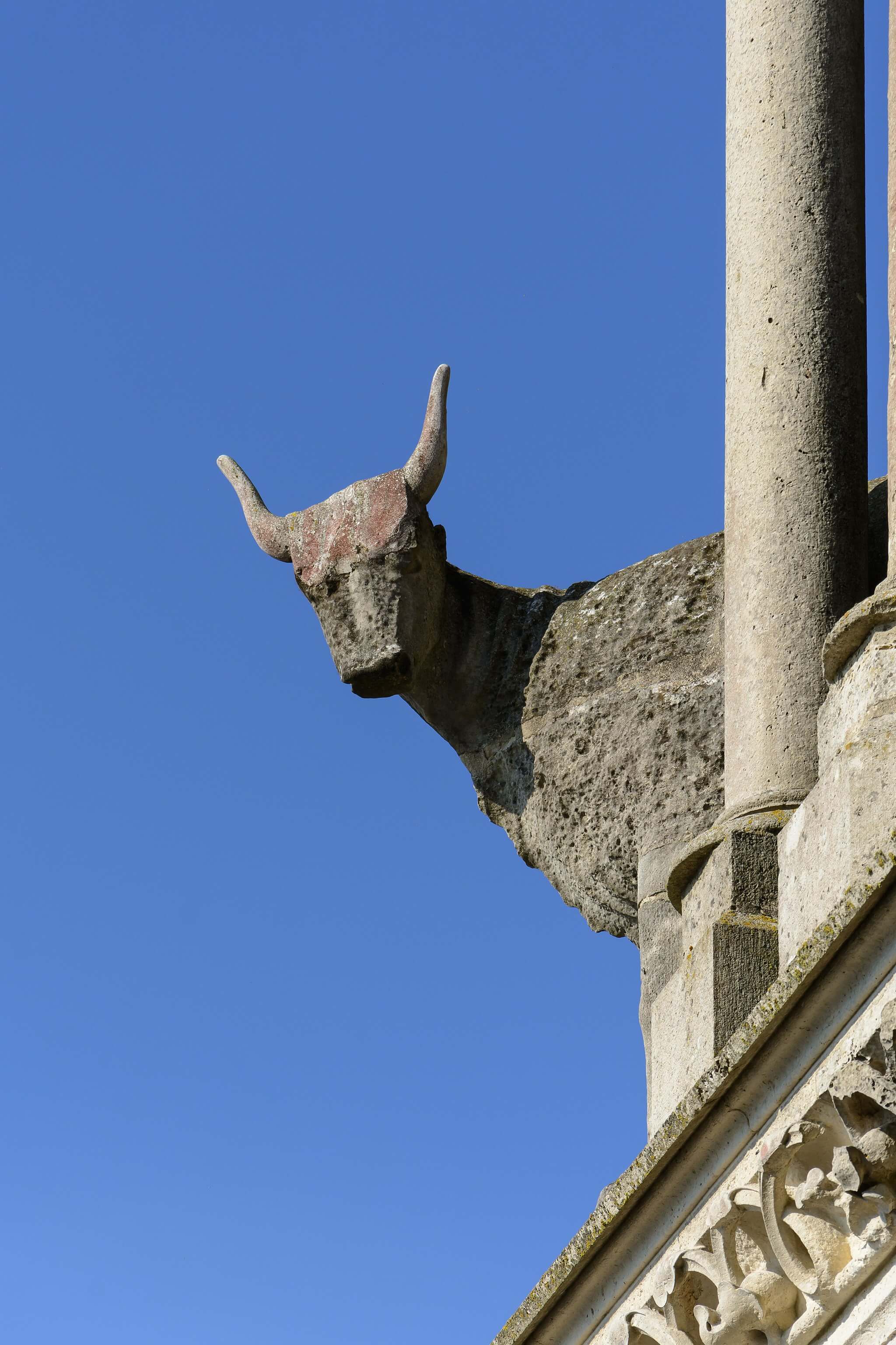 Laon Cathedral ox