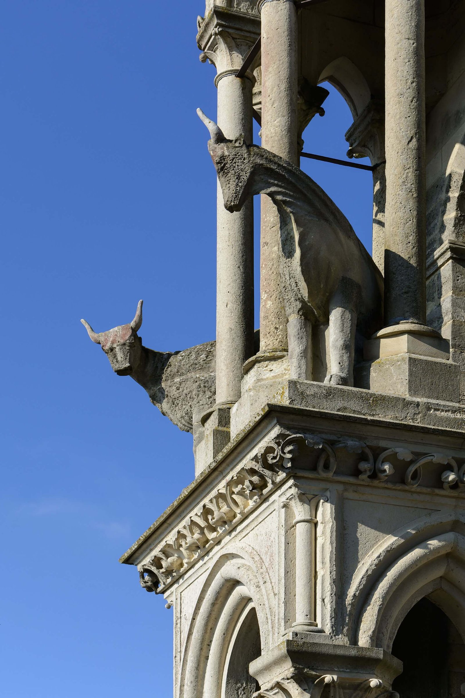 Laon Cathedral two oxen