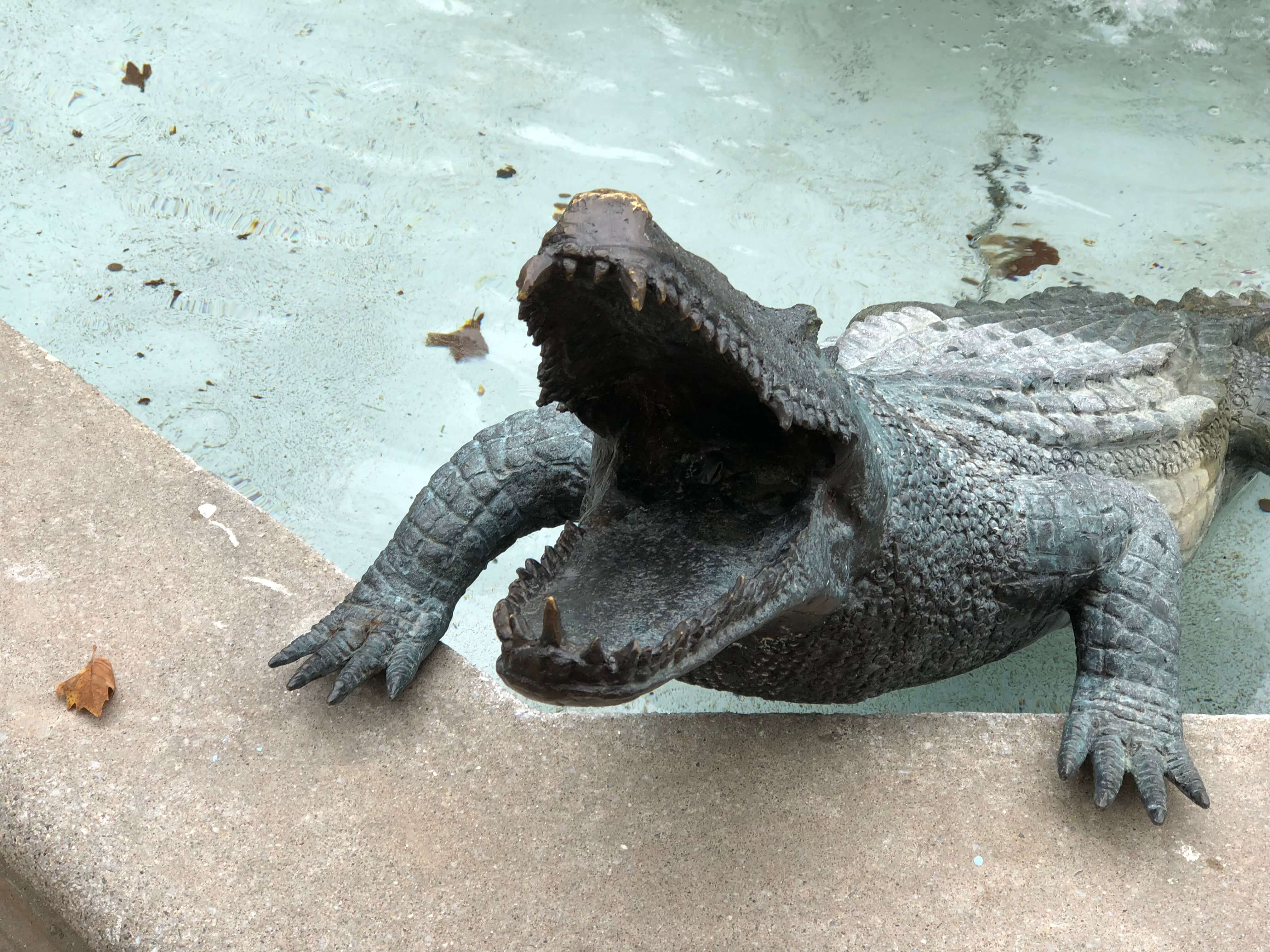 Jefferson Hotel alligators