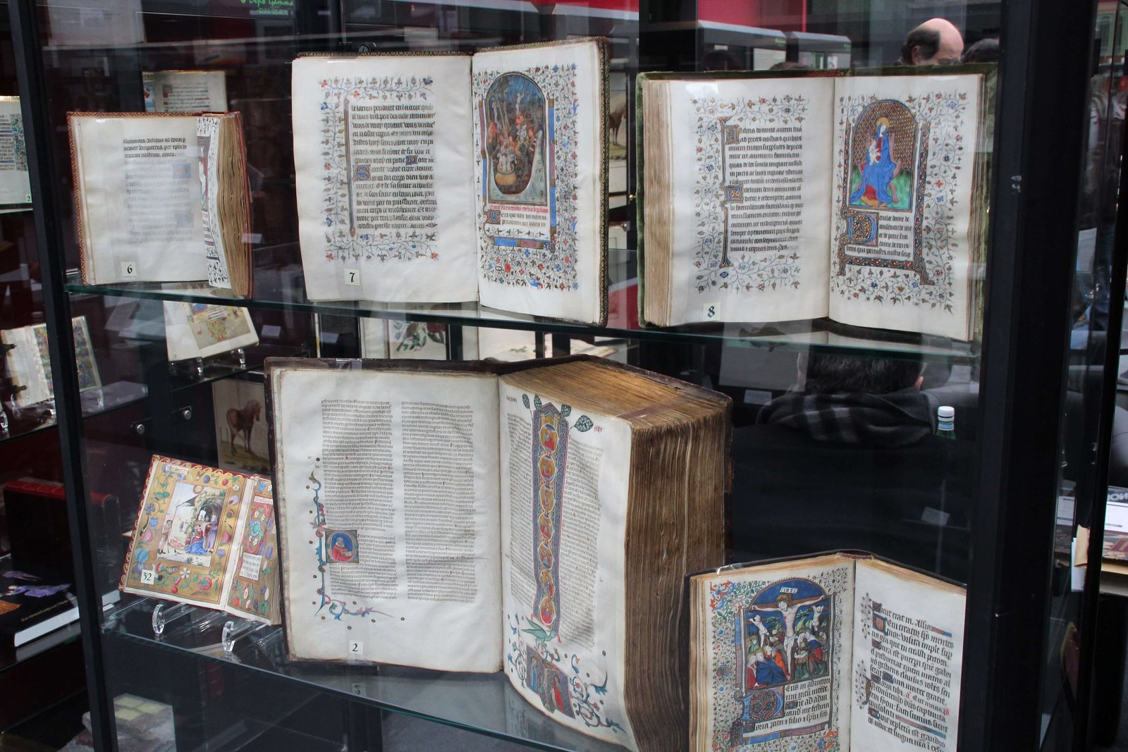 Up Close and Personal With Illuminated Manuscripts