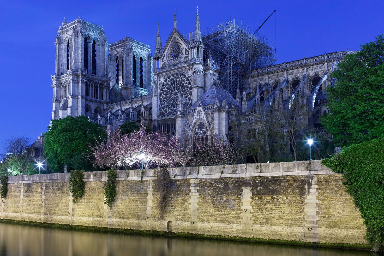 Notre-Dame after the fire