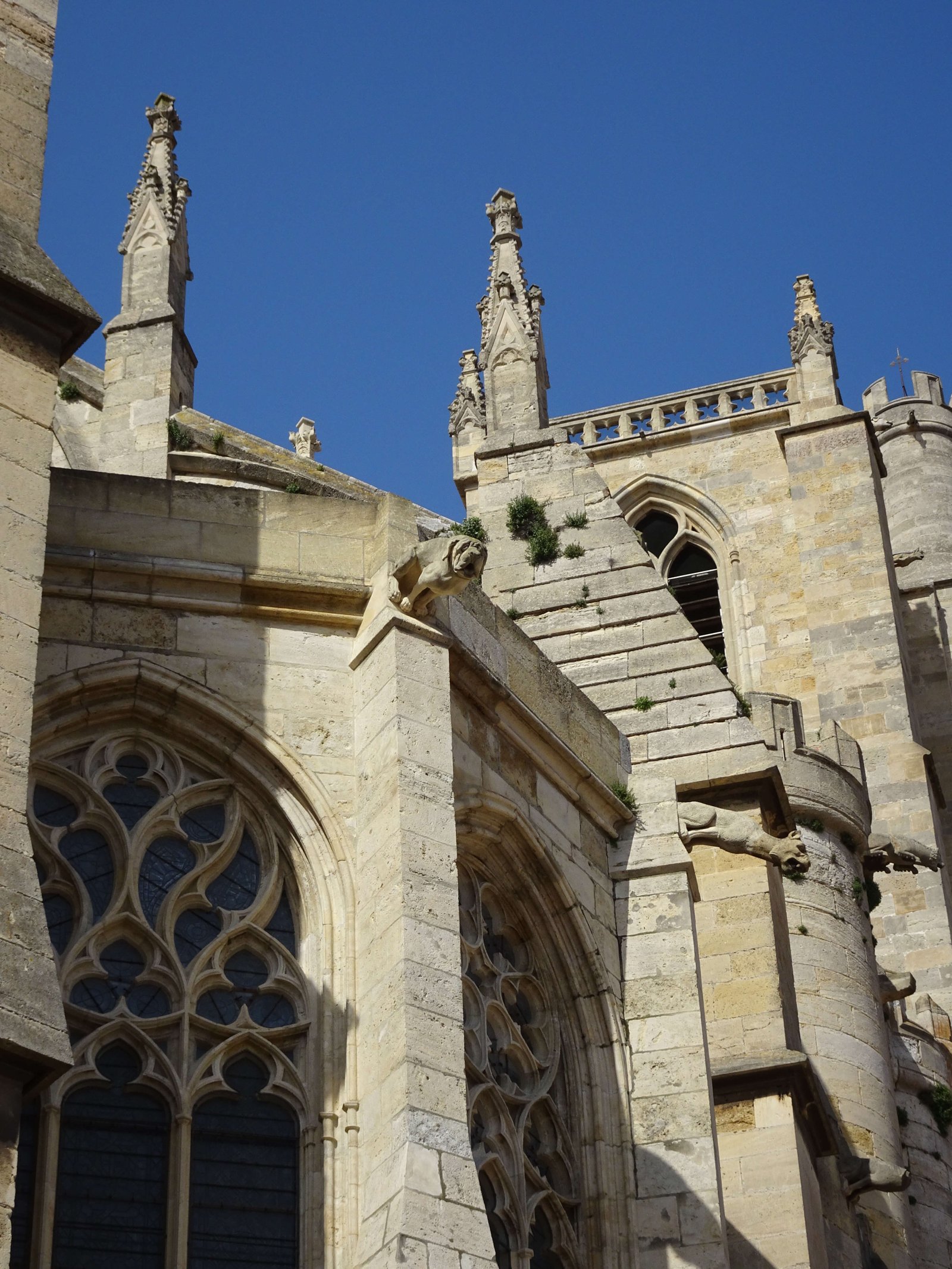 Narbonne Cathedral choir