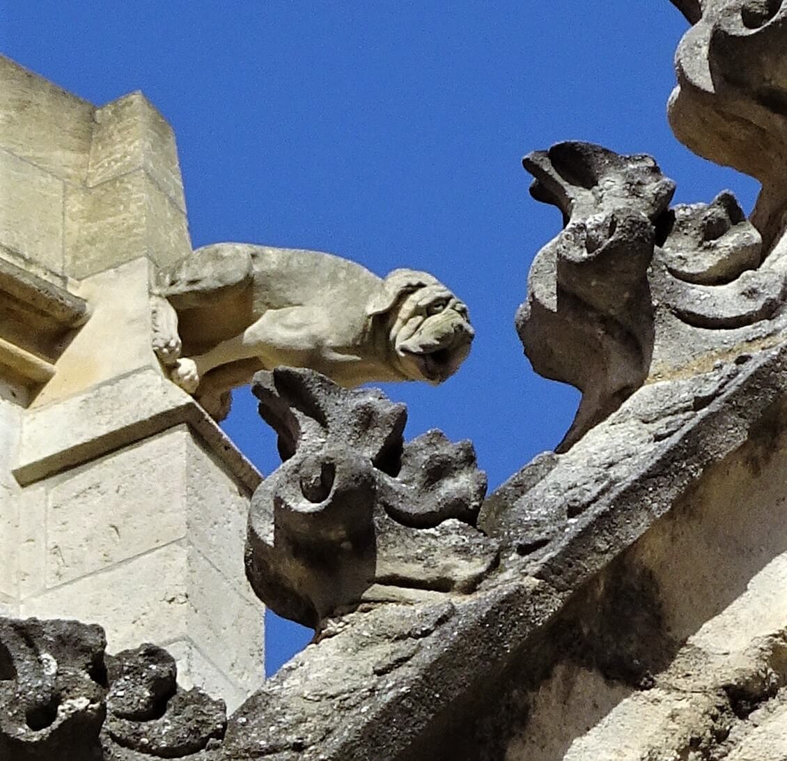 The Narbonne Cathedral Dog Gargoyle