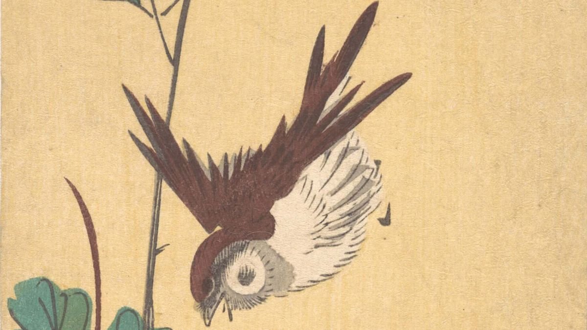 Japanese print of a black-and-white sparrow flying downward on a yellow background.