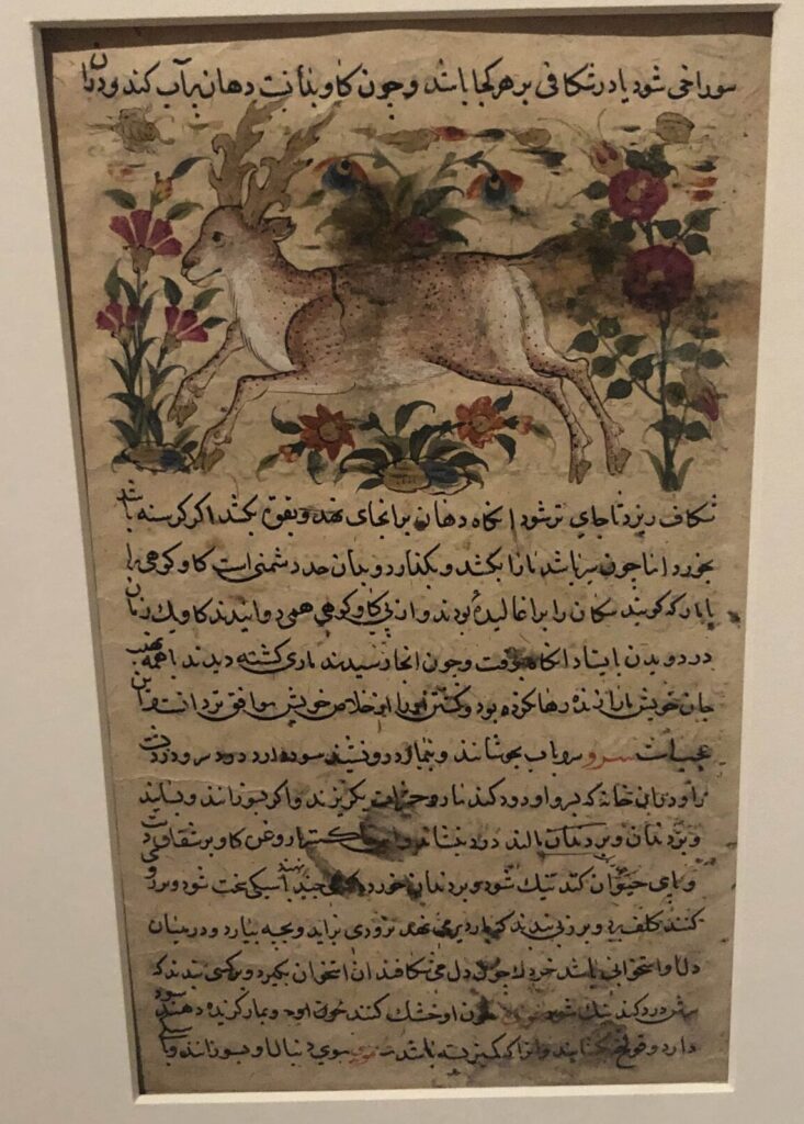 An illuminated manuscript with a drawing of an antelope